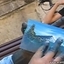 Incredible Way of Fast Painting