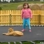 Cat vs Baby on Trampoline