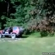 Tree Was Stronger Than Car