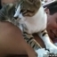 Awesome Professional Cat Masseur