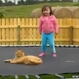 Cat vs Baby on Trampoline