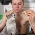 Hilarious Hungry Cat