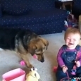 Funny Compilation of Cute Babies Playing Wi