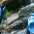 Avatar funny Trailer