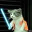 Outstanding Jedi Kittens