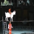 Fantastic Chinese Circus