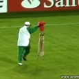 Dog On The Field During Match