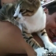 Awesome Professional Cat Masseur